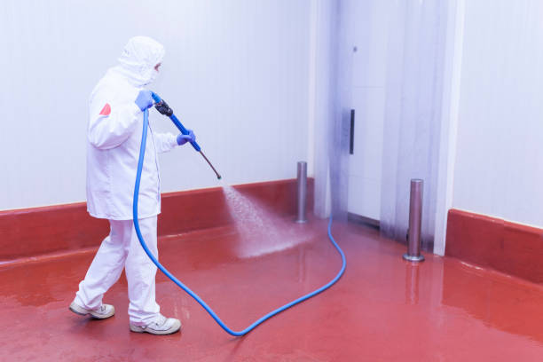 Best Vinyl Siding Pressure Washing in Broadview, IL